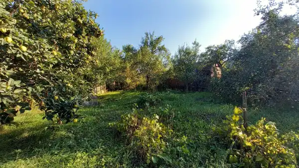 Eladó családi ház, Püspökszilágy 2 szoba 66 m² 41 M Ft