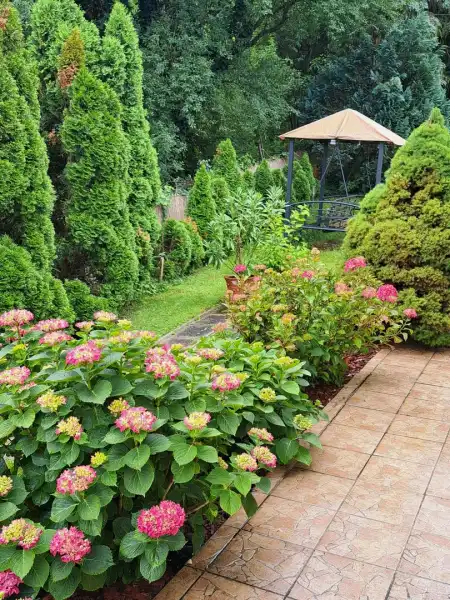 Eladó családi ház, Verőce 5 szoba 245 m² 185 M Ft