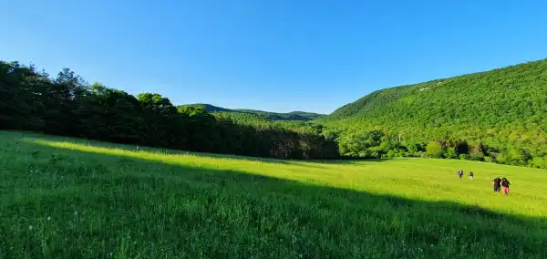 Eladó Építési telek, Szokolya 5300 m² 49.9 M Ft