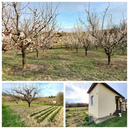 Eladó mezőgazdasági ingatlan, Vác 6283 m² 29.9 M Ft