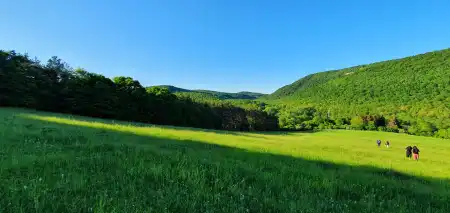 Eladó telek, Szokolya 5300 m² 49.9 M Ft